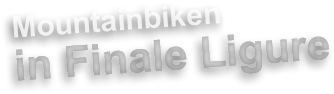 Zur Startseite